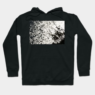 Shimmering 2 Hoodie